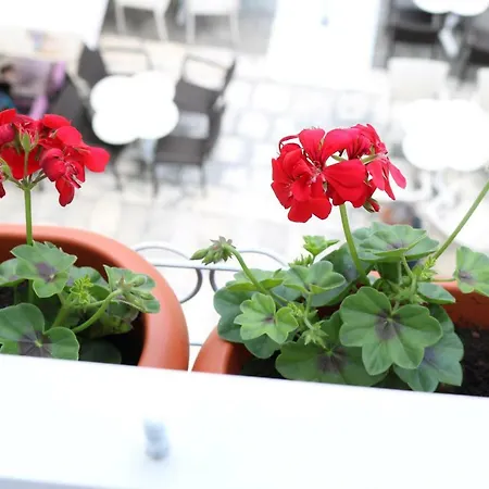 Square Gostinjska kuća 3*